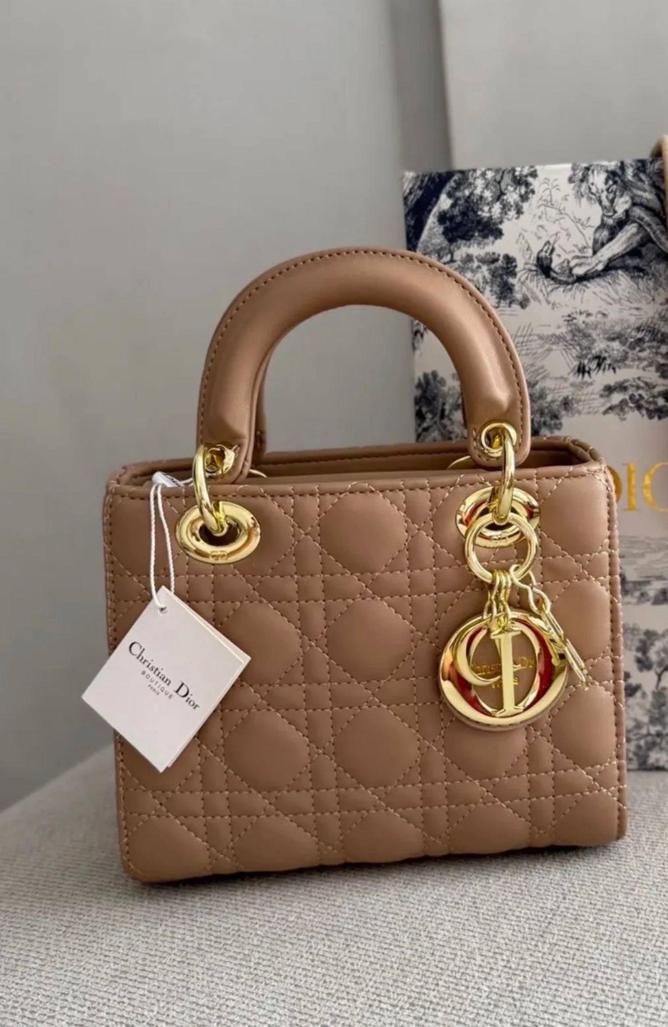 Lady Dior Mini