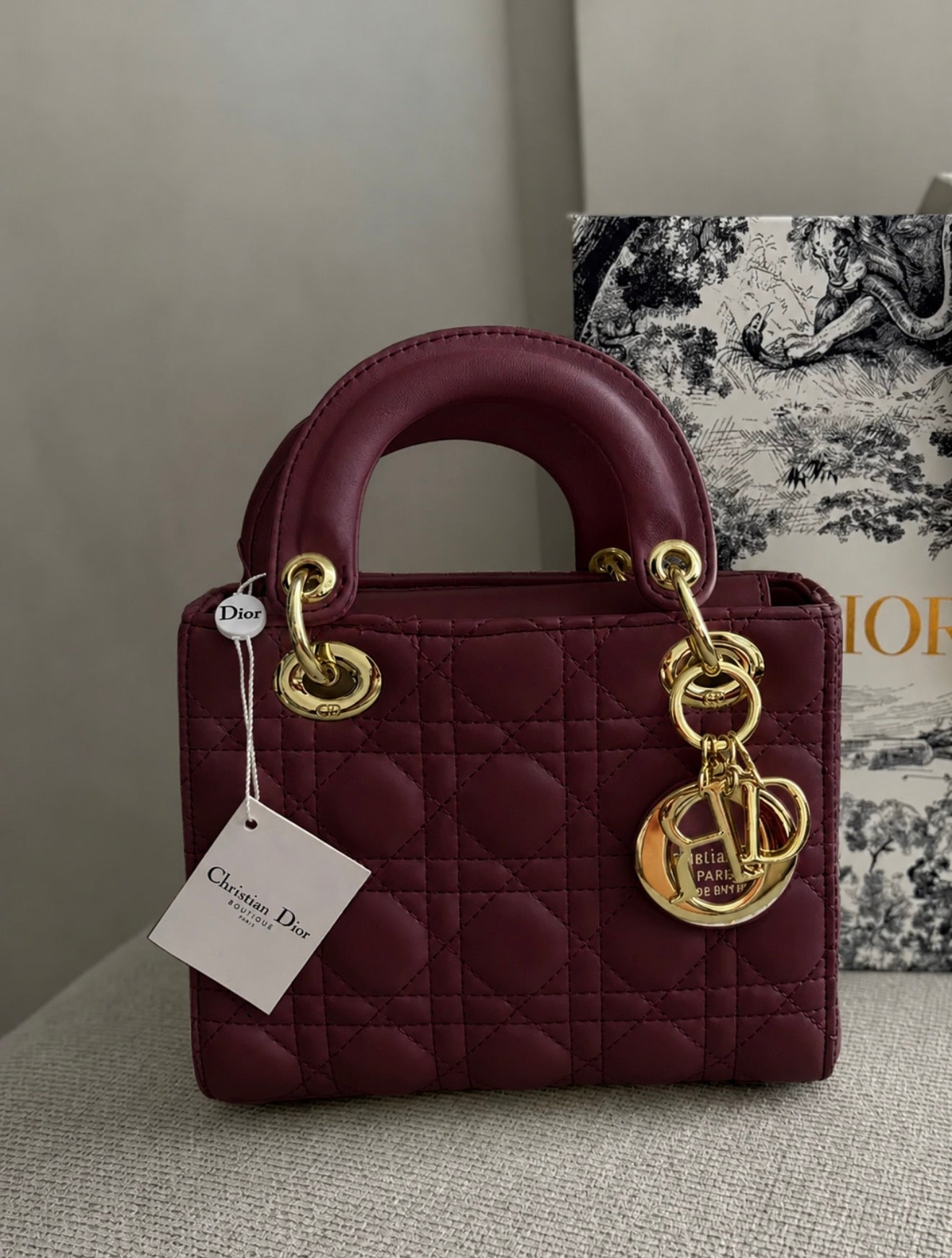 Lady Dior Mini